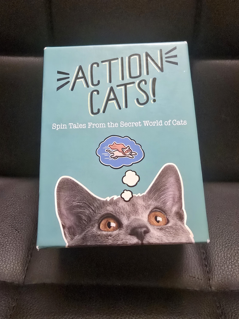 Card Game - Teal Cat Storytelling Game